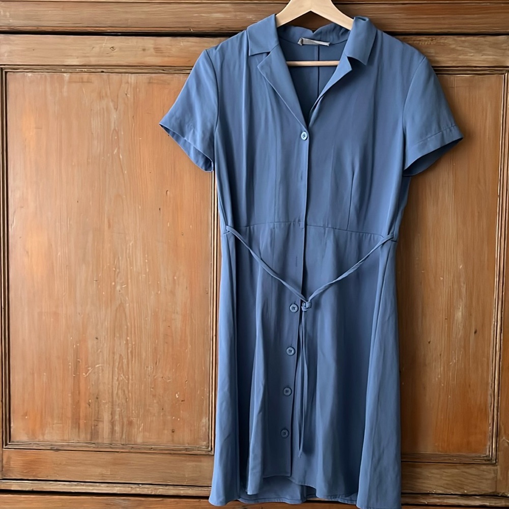 Everlane belted dress